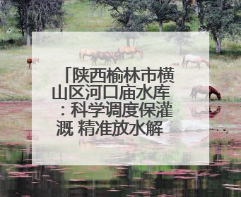 陕西榆林市横山区河口庙水库：科学调度保灌溉 精准放水解旱情