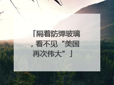 隔着防弹玻璃，看不见“美国再次伟大”