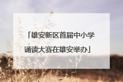 雄安新区首届中小学诵读大赛在雄安举办