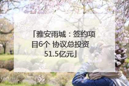 雅安雨城：签约项目6个 协议总投资51.5亿元
