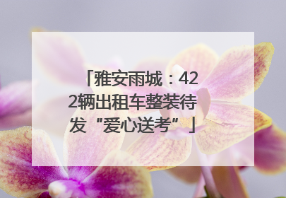 雅安雨城：422辆出租车整装待发“爱心送考”