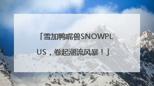 雪加鸭嘴兽SNOWPLUS，卷起潮流风暴！