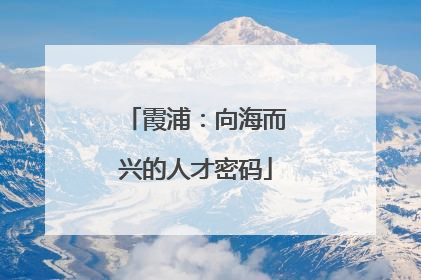霞浦：向海而兴的人才密码