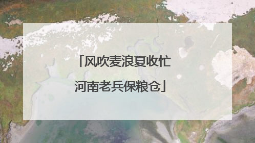 风吹麦浪夏收忙 河南老兵保粮仓