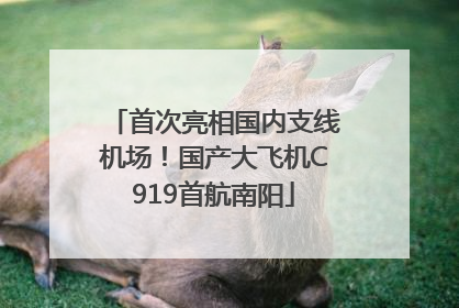 首次亮相国内支线机场！国产大飞机C919首航南阳