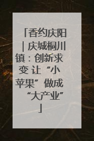 香约庆阳｜庆城桐川镇：创新求变 让“小苹果”做成“大产业”