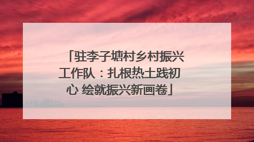 驻李子塘村乡村振兴工作队：扎根热土践初心 绘就振兴新画卷