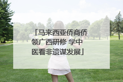 马来西亚侨商侨领广西研修 学中医看非遗谋发展