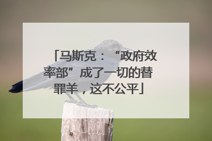 马斯克：“政府效率部”成了一切的替罪羊，这不公平