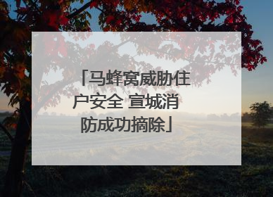 马蜂窝威胁住户安全 宣城消防成功摘除