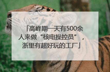 高峰期一天有500余人来做“核电操控员”，浙里有超好玩的工厂
