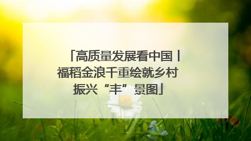 高质量发展看中国丨福稻金浪千重绘就乡村振兴“丰”景图