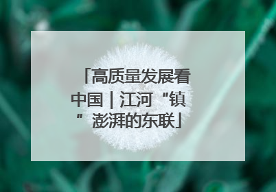 高质量发展看中国｜江河“镇”澎湃的东联