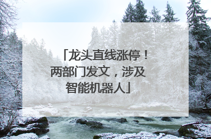 龙头直线涨停！两部门发文，涉及智能机器人