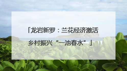 龙岩新罗：兰花经济激活乡村振兴“一池春水”