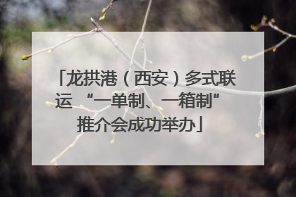 龙拱港（西安）多式联运 “一单制、一箱制” 推介会成功举办