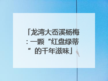 龙湾大岙溪杨梅：一颗“红盘绿蒂”的千年滋味