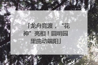 龙舟竞渡，“花神”亮相！圆明园里曲动端阳