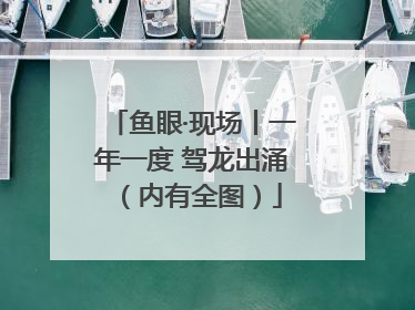 鱼眼·现场丨一年一度 驾龙出涌（内有全图）