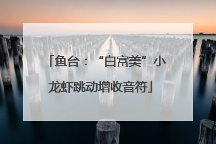 鱼台：“白富美”小龙虾跳动增收音符