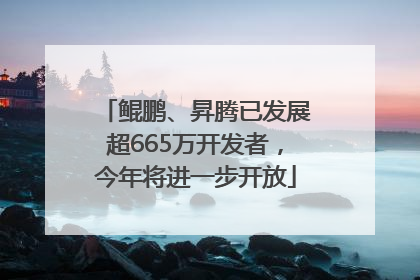 鲲鹏、昇腾已发展超665万开发者，今年将进一步开放