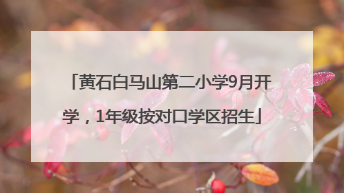 黄石白马山第二小学9月开学，1年级按对口学区招生
