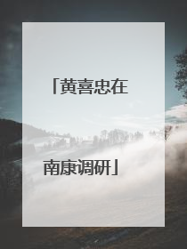 黄喜忠在南康调研