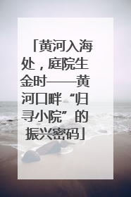 黄河入海处，庭院生金时——黄河口畔“归寻小院”的振兴密码
