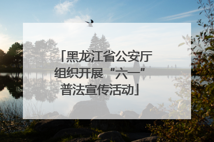 黑龙江省公安厅组织开展“六一”普法宣传活动