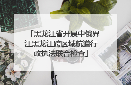 黑龙江省开展中俄界江黑龙江跨区域航道行政执法联合检查