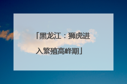 黑龙江：狮虎进入繁殖高峰期