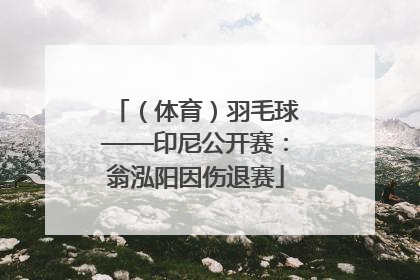 （体育）羽毛球——印尼公开赛：翁泓阳因伤退赛