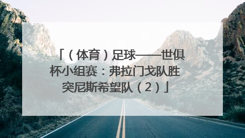 （体育）足球——世俱杯小组赛：弗拉门戈队胜突尼斯希望队（2）