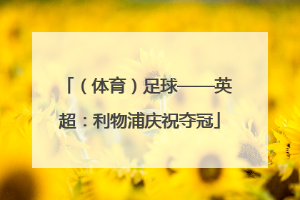（体育）足球——英超：利物浦庆祝夺冠