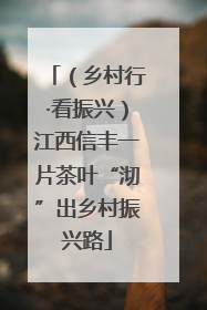 （乡村行·看振兴）江西信丰一片茶叶“沏”出乡村振兴路