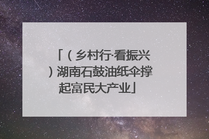（乡村行·看振兴）湖南石鼓油纸伞撑起富民大产业