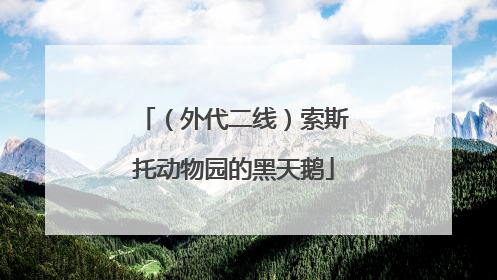 （外代二线）索斯托动物园的黑天鹅
