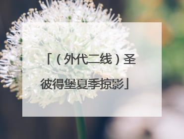 （外代二线）圣彼得堡夏季掠影