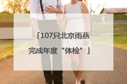 107只北京雨燕完成年度“体检”