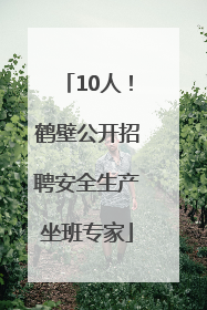 10人！鹤壁公开招聘安全生产坐班专家
