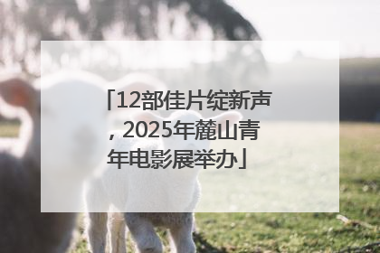 12部佳片绽新声，2025年麓山青年电影展举办