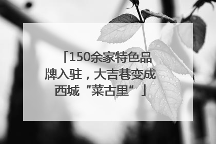 150余家特色品牌入驻，大吉巷变成西城“菜古里”