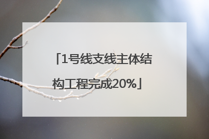 1号线支线主体结构工程完成20%