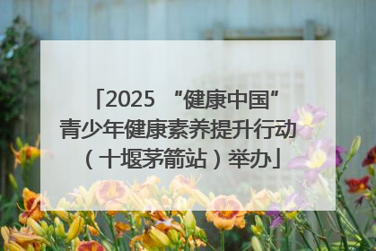 2025 “健康中国” 青少年健康素养提升行动（十堰茅箭站）举办