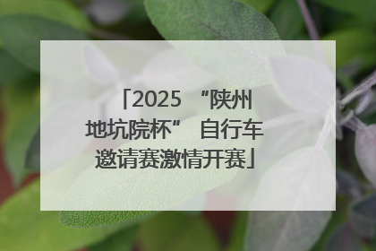 2025 “陕州地坑院杯” 自行车邀请赛激情开赛