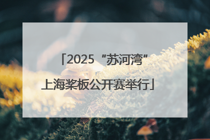 2025“苏河湾”上海桨板公开赛举行