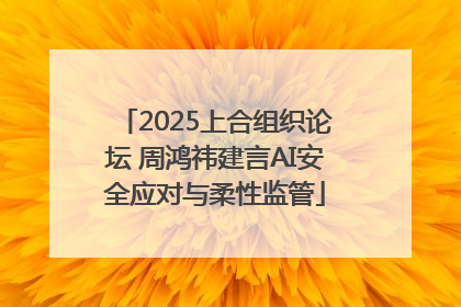 2025上合组织论坛 周鸿祎建言AI安全应对与柔性监管