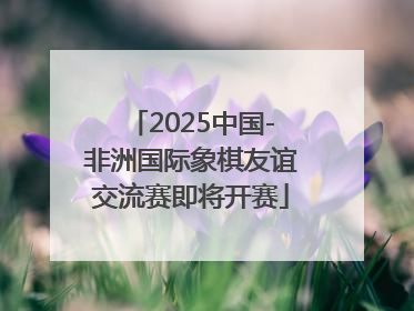 2025中国-非洲国际象棋友谊交流赛即将开赛