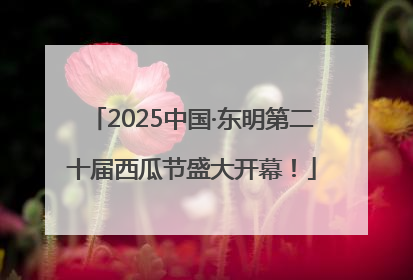 2025中国·东明第二十届西瓜节盛大开幕！