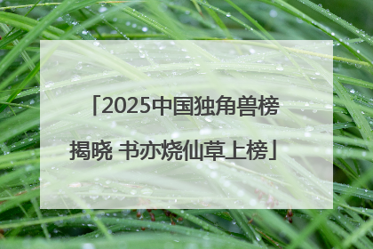 2025中国独角兽榜揭晓 书亦烧仙草上榜